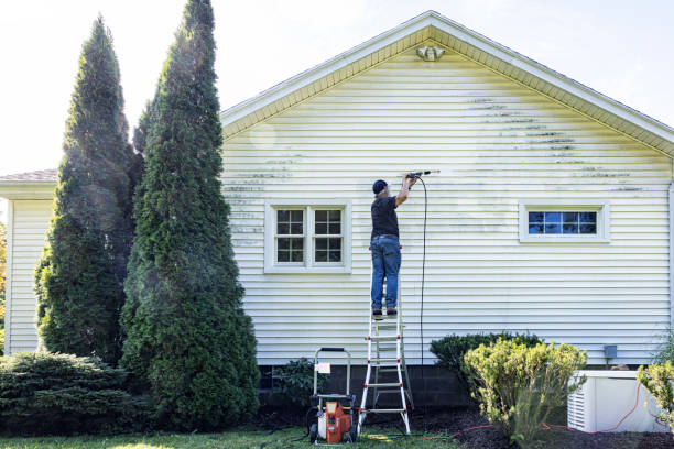 Best Brick and Stone Cleaning in Horicon, WI
